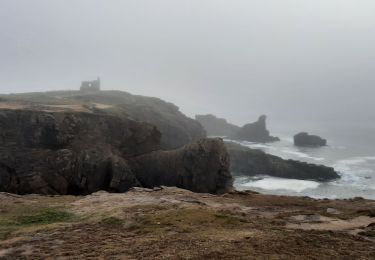 Excursión Senderismo Saint-Pierre-Quiberon - PR_56_St-Pierre-Quiberon_AA_01_Circuit1b_Kerhostin-Portivy-Cote-Sauvage_20220128 - Photo