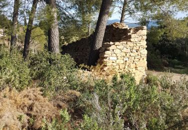 Tocht Stappen Le Castellet - Ste Anne Castellet - Photo