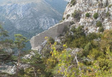 Tour Wandern La Bastide - La Bastide-Lachens - Photo