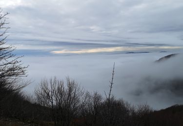 Percorso Marcia Soultz-Haut-Rhin - grand ballon pat - Photo