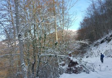 Tocht Stappen Arrien-en-Bethmale - les granges de la Serre en boucle - Photo