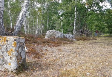 Trail Walking Fère-en-Tardenois - Fère en Tardenois par le bois de Saponay - Photo