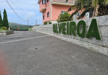 Randonnée Marche Mazaricos - Santa Maria Olveirao - Photo