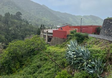 Randonnée Marche Buenavista del Norte - PR TF59 Mirador Cruz de Hilda -Masca  - Photo