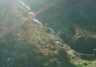 Tour Wandern Saint-Romain-les-Atheux - tour du barrage de Cotatay  - Photo