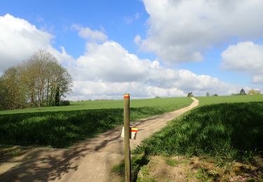 Tour Wandern Chaumont-Gistoux - #210507 Dion-le-Mont, Pisselet et Louvranges - Photo