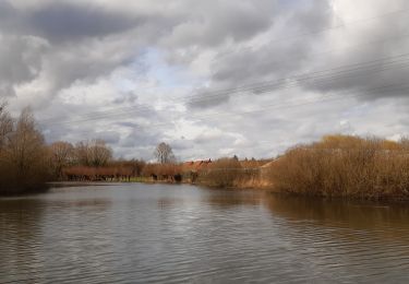 Tocht Stappen Fretin - Pévèle - La Marque - Photo