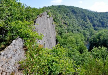 Trail Walking Houffalize - 2019-08-06_12h19m05_Balades de RTL  Hérou - Photo