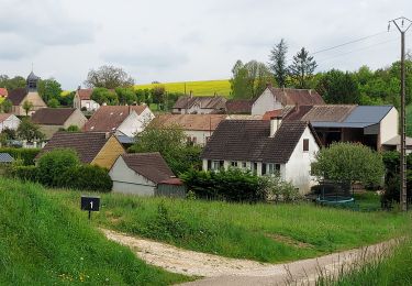 Tour Wandern Subligny - Subligny 240501 - Photo