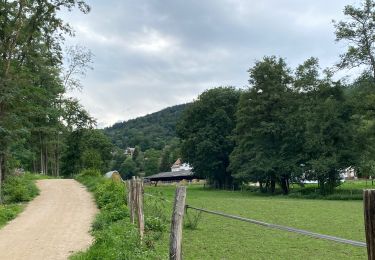 Randonnée Marche Munster - Munster Gunsbach - Photo