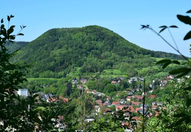 Trail On foot Heubach - Heubach Wanderweg 5 