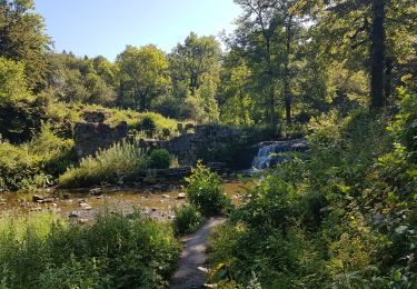 Tour Wandern Menétrux-en-Joux - Ménétrux-en-Joux - cascades Evantail et Hérisson - Saut de la Forge - La Fromagerie - Photo