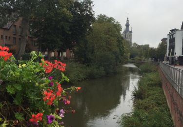 Tour Wandern Aarschot - 80.353 Aarschot - Wandeling door de Stad - Photo