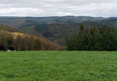 Excursión Senderismo Bouillon - Rochehaut 241022 - Photo