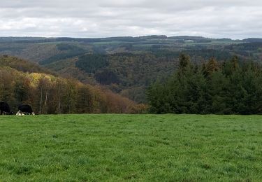 Percorso Marcia Bouillon - Rochehaut 241022 - Photo