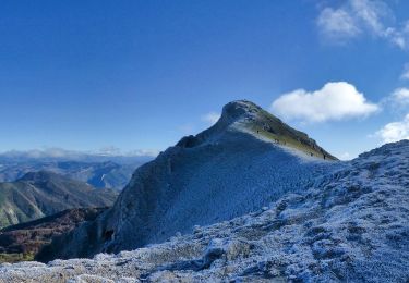 Excursión Senderismo Bézaudun-sur-Bîne - le grand Delmas (AS) - Photo