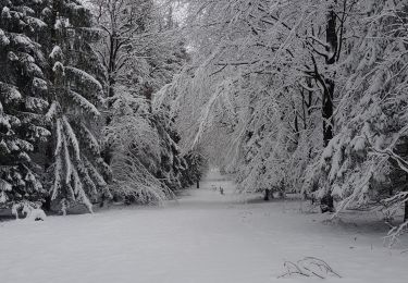 Tour Nordic Walking Aywaille - stokeu 16 - Photo