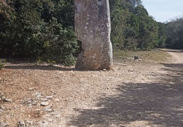 Tocht Stappen Lussan - randonnée Prades les concluses  - Photo