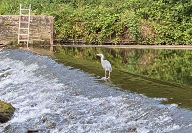 Tocht Stappen Bourscheid - Escapardenne Lee Trail: Moulin de Bourscheid - Hoscheid - Photo