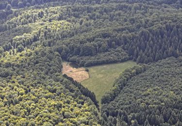 Tocht Te voet Kalbach - Kalbach Wanderweg Sparhof 3 - Photo