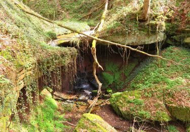 Percorso A piedi  - Hexenklamm - Photo