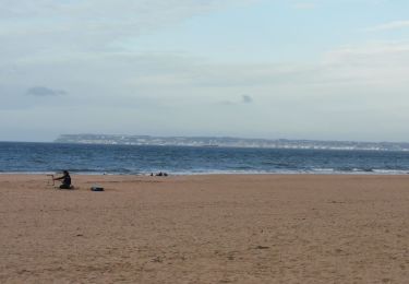 Trail Walking Trouville-sur-Mer - trouvaille Deauville  - Photo