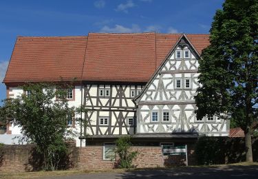 Percorso A piedi Schöllkrippen - Ortswanderweg Schöllkrippen 2 - Photo