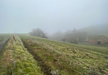 Randonnée Marche Cerfontaine - Eau d’heure  Hiver  - Photo