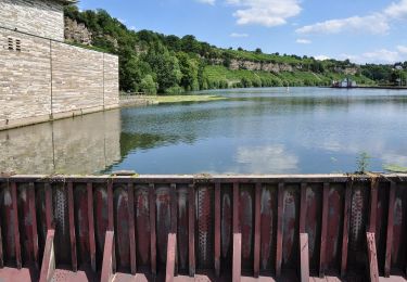 Percorso A piedi Remseck am Neckar - Poppenweiler - Remseck - Hegnach - Waiblingen - Photo