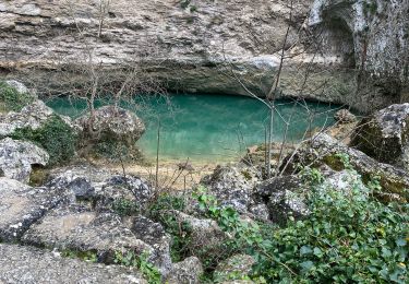 Tour Wandern Fontaine-de-Vaucluse - Fontaine du Vaucluse - Photo