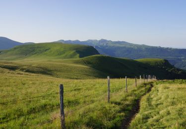 Randonnée Marche Mont-Dore - Mont_Dore_Puy_Gros_2 - Photo