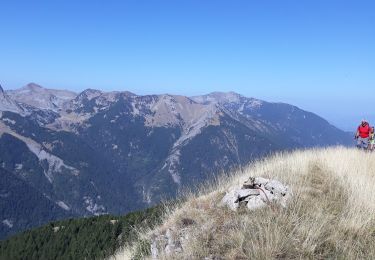 Tocht Stappen Méolans-Revel - Sommet du pinet - Photo