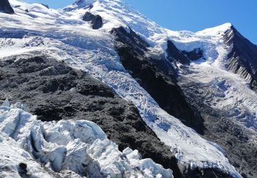 Trail Walking Chamonix-Mont-Blanc - Glaciers des Bossons  - Photo