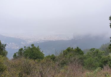 Tocht Stappen Évenos - Le broussan me caume ouest - Photo