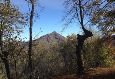 Excursión A pie Tavernole sul Mella - Caregno - Rifugio C.A.I. Valtrompia (Innesto Sentiero 325) - Photo