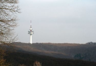 Trail On foot Unknown - Sophienalpe - Scheiblingstein - Photo