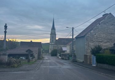 Excursión Senderismo Confracourt - La forêt et les hommes  - Photo