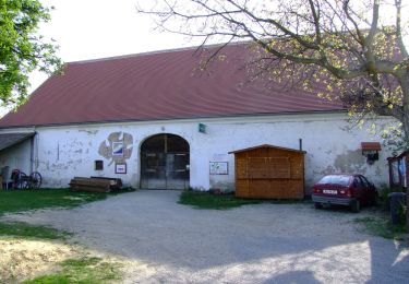 Percorso A piedi Gemeinde Mistelbach - Rundwanderweg Gartenfeld/Rustenfeld - Photo