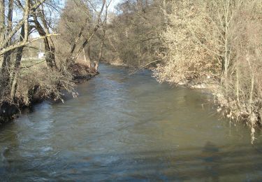 Tocht Te voet Burgsinn - Schwarzer Keiler, Rundweg Burgsinn - Photo