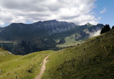 Randonnée Marche Samoëns - lac verderts et un peu plus - Photo