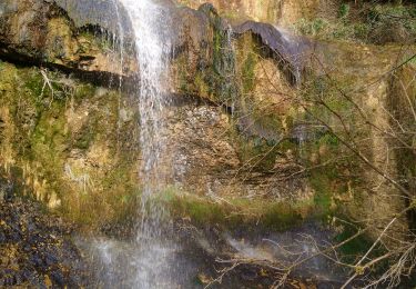 Randonnée Marche Saint-Hymetière-sur-Valouse - Au fil de la Valouze  - Photo