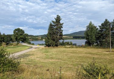 Randonnée A pied Polná na Šumavě - NS Olšina - Photo