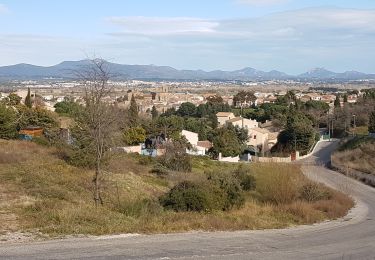 Tour Wandern Roquebrune-sur-Argens - ROQUEBRUNE SUR ARGENS - LAC MOULINS CHAPELLE PONTS - Photo