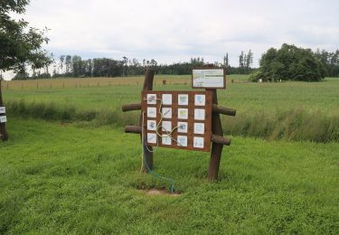 Excursión A pie Jemnice - Pohádková stezka - Photo