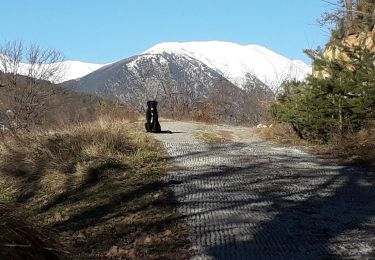 Tocht Stappen Utelle - 21.01.25 - Photo