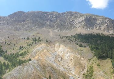 Tour Wandern Bielsa - Collado La Cruz de la Guardia - Photo