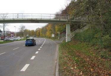 Randonnée A pied Baunatal - Baunatal-Altenritte, Rundweg 2 - Photo