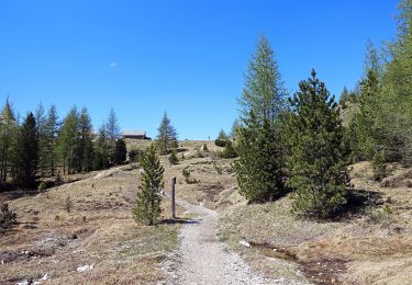 Tour Zu Fuß Abtei - Monte Cavallo Ferrata - Photo