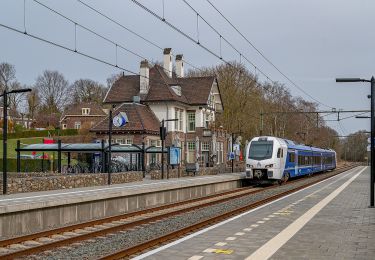 Percorso A piedi Voerendaal - Blindelings genieten - Photo