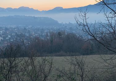 Tour sport Aix-les-Bains - Corsuet chemin du Rossignol  - Photo